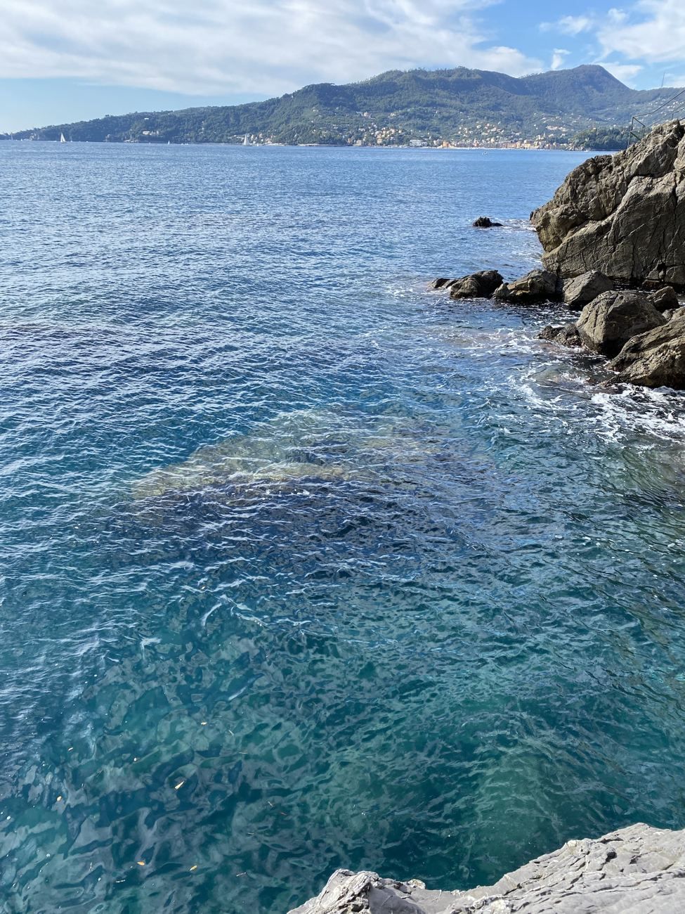 Il mare davanti agli scogli con la costa sullo sfondo